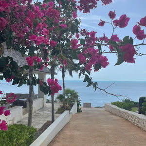 Meet your Posher, Avery